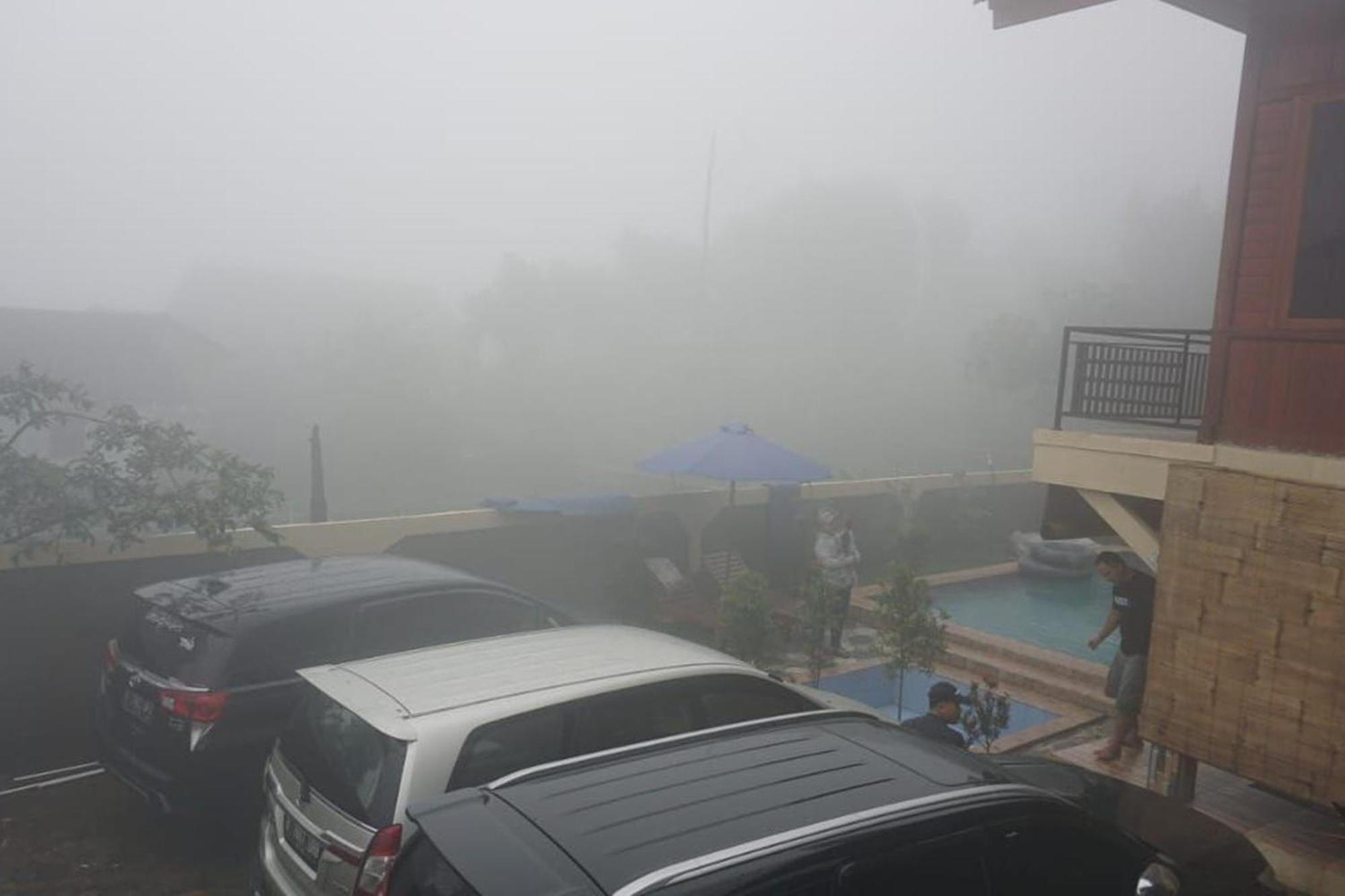 Zoya 1 Bogor